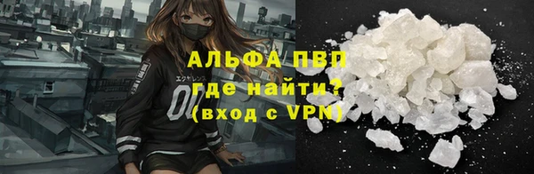 индика Горно-Алтайск