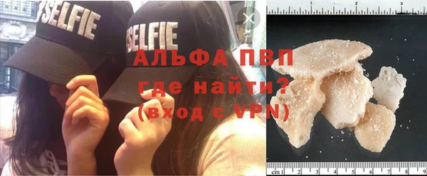 индика Горно-Алтайск