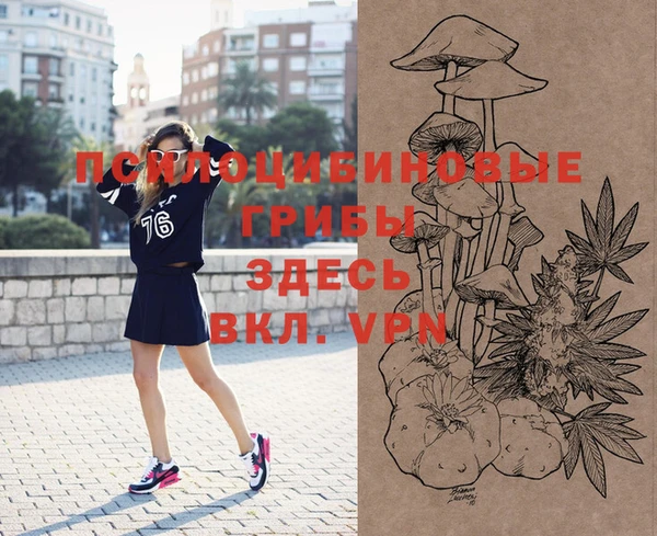 индика Горно-Алтайск
