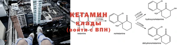 крисы Гусев