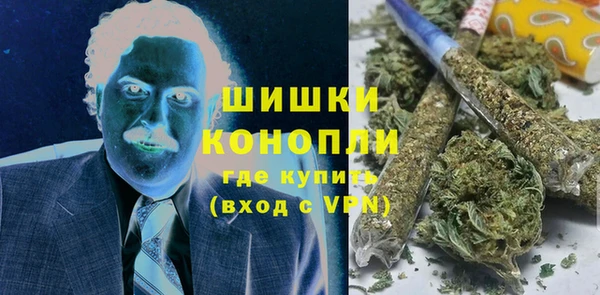 индика Горно-Алтайск