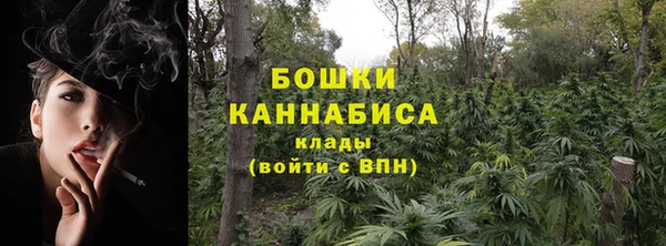 кристаллы Гусь-Хрустальный