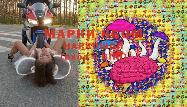 крисы Гусев