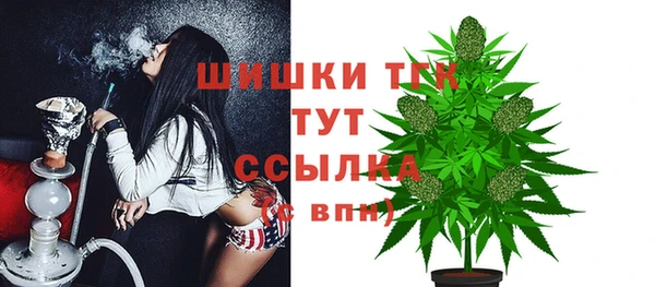 крисы Гусев