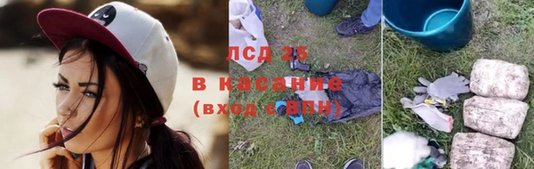 крисы Гусев